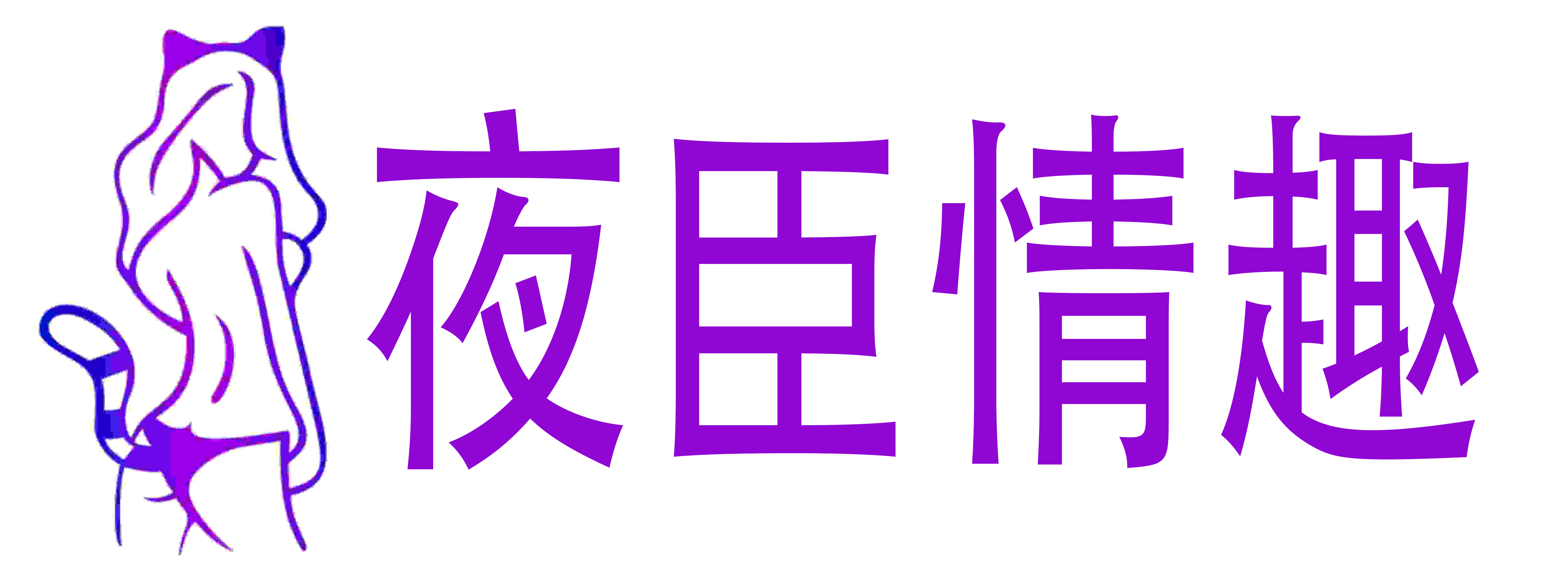夜臣情趣成人用品店