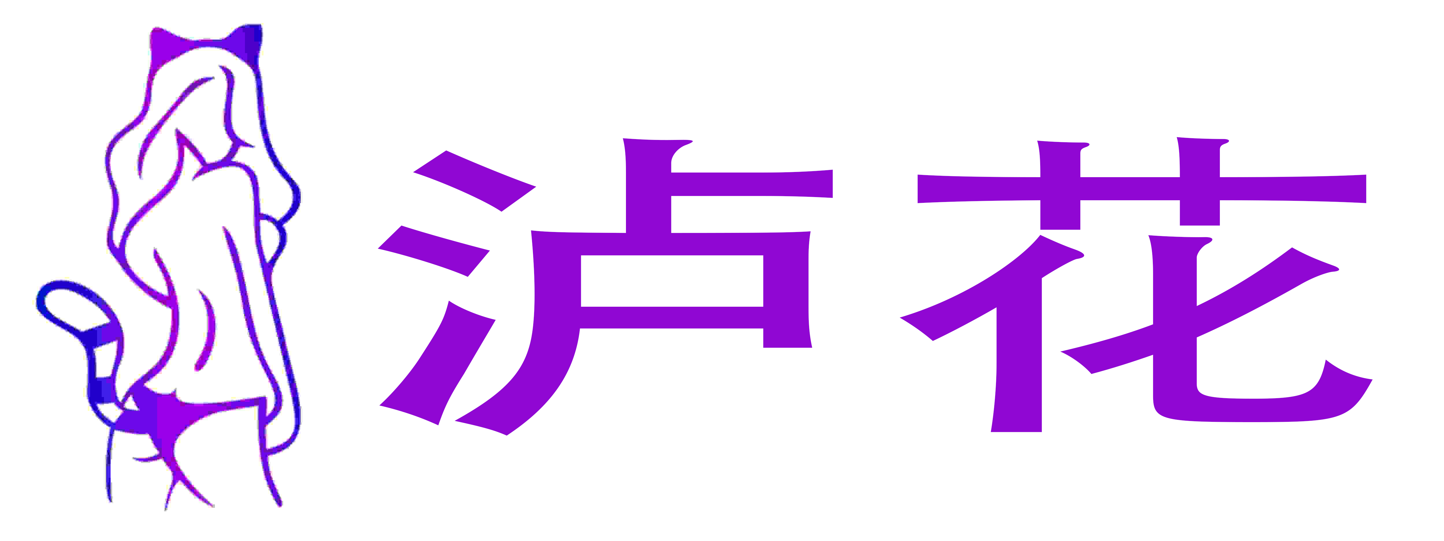 泸花成人用品店