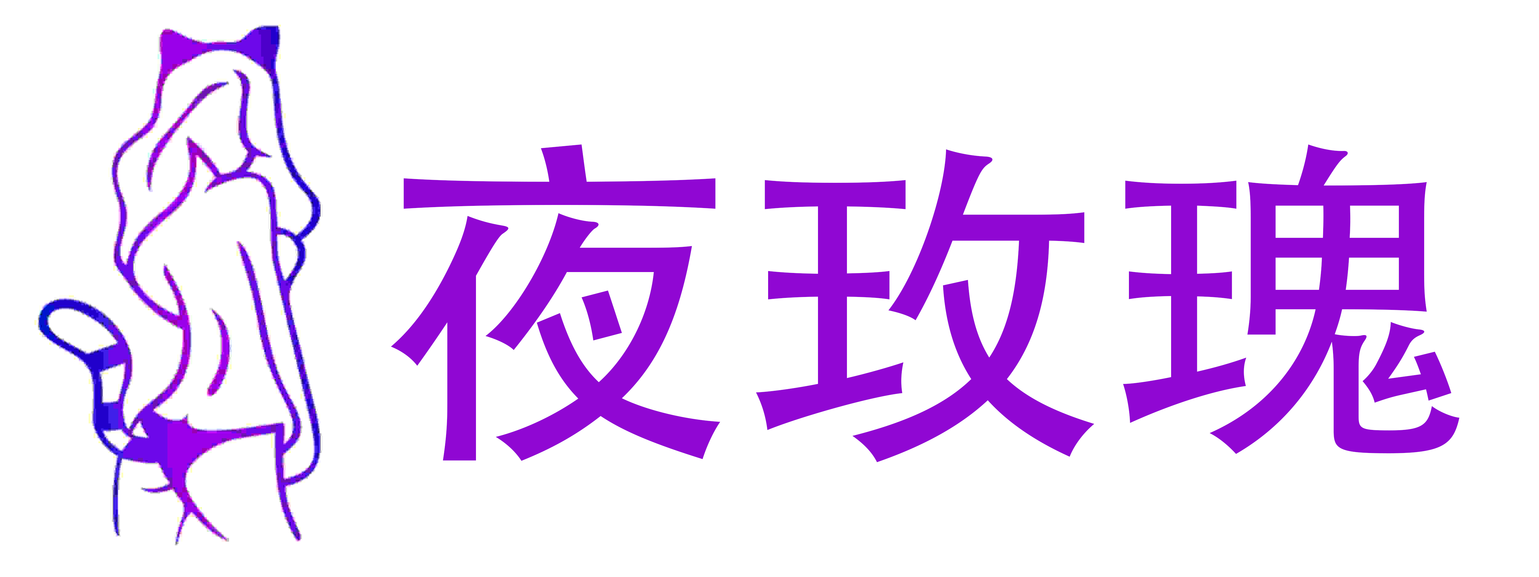 夜玫瑰成人用品店