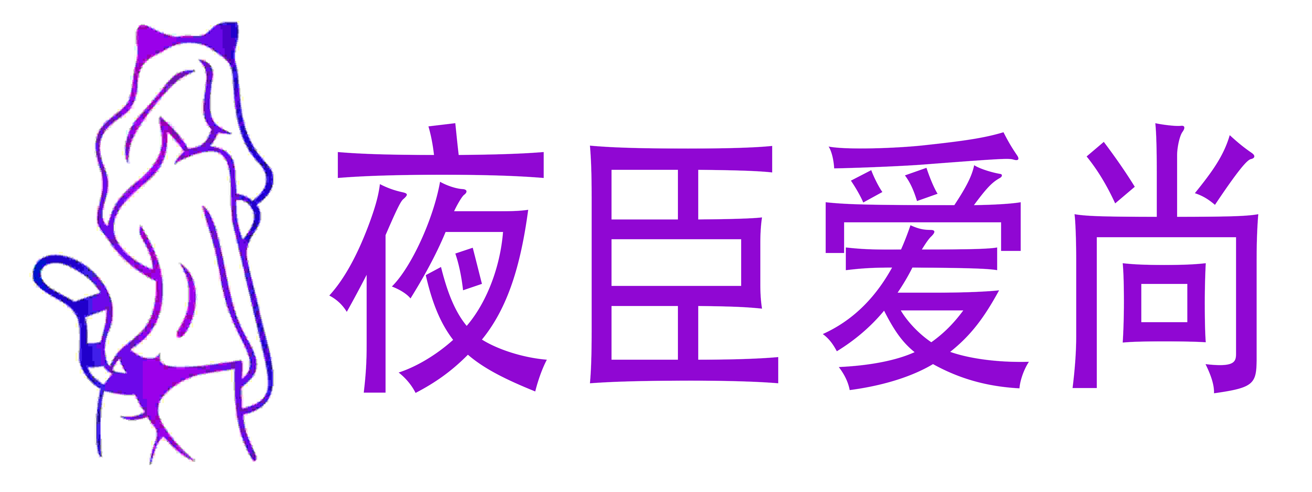 夜臣爱尚成人用品