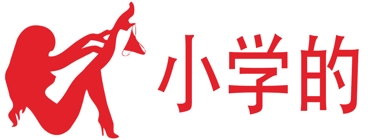 小学的成人用品店